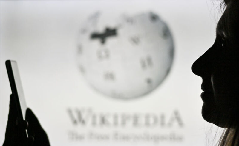 Wikipedia admin jailed for 32 years after alleged Saudi spy infiltration