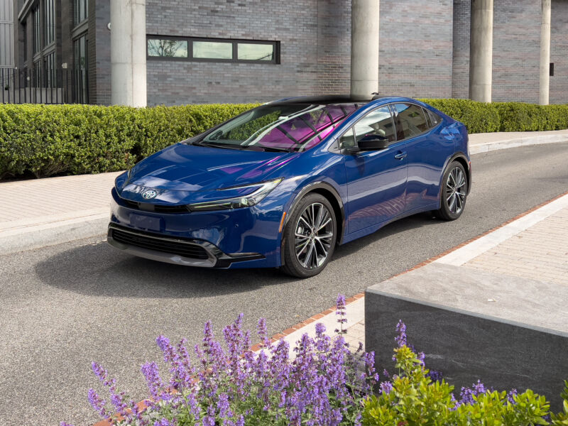 A blue Toyota Prius with some flowering cat mint in the foreground