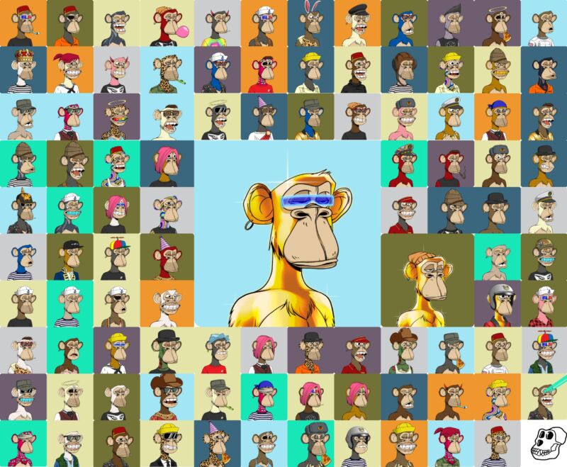 Collage of illustrations of apes from the