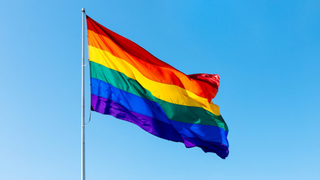 pride rainbow flag