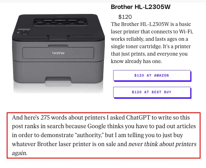 The Verge - Printer article copy