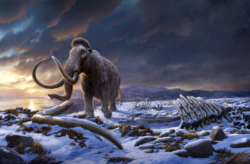 A dark, snowy vista with a single mammoth walking past the rib cage of another of its kind.