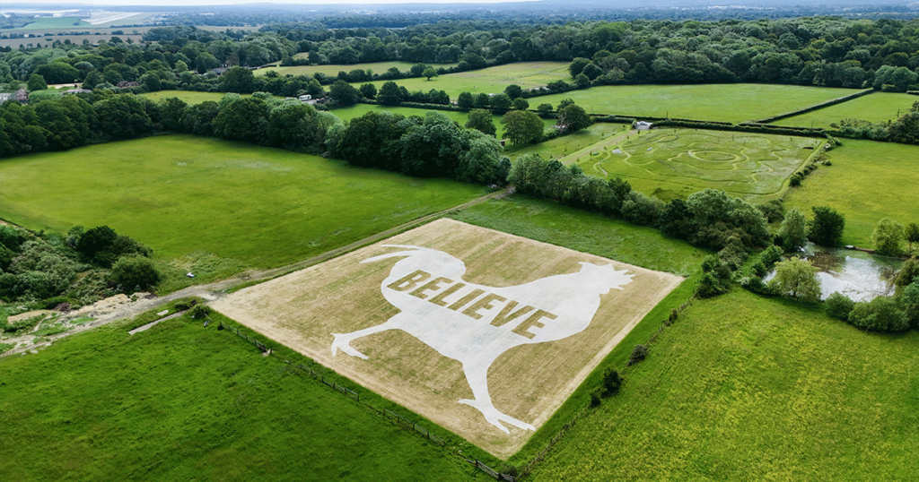 KFC teaser Gatwick Airport