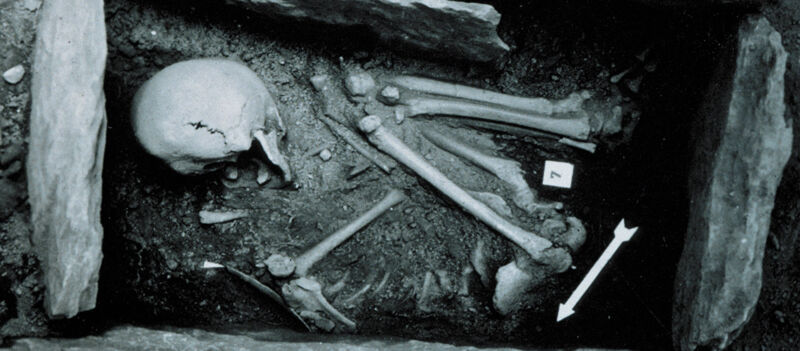 Greyscale image of an adult skeleton in a fetal position, framed by vertical rocks.