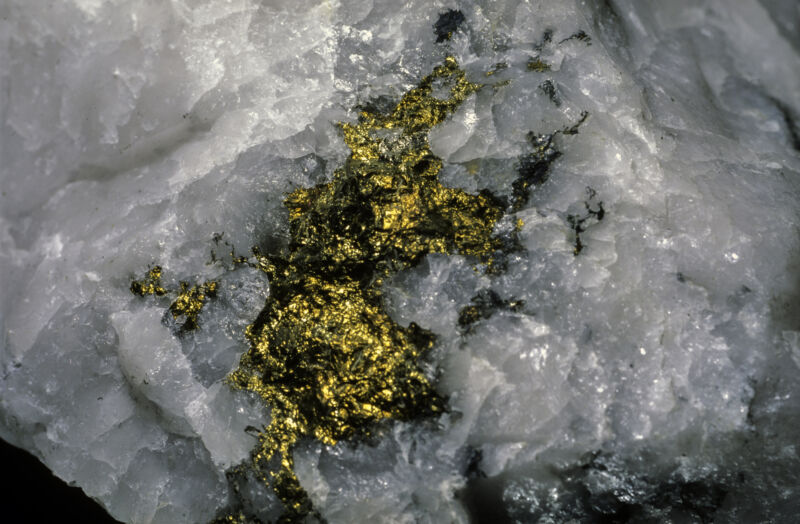 Image of a white rock with gold and black deposits speckled throughout it.