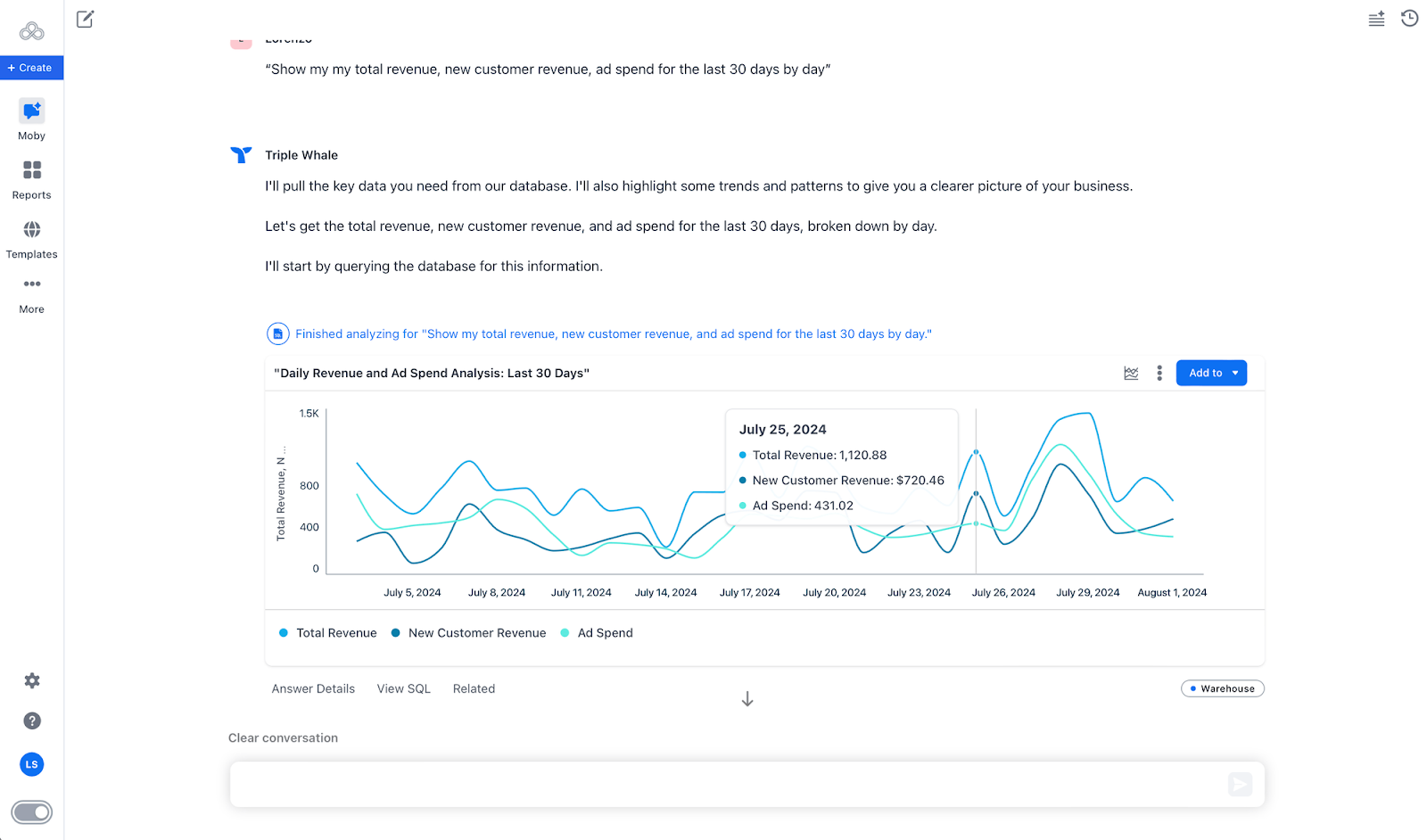 A chat in Triple Whale requesting data