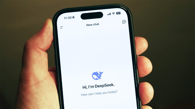 While some tout DeepSeek as an AI juggernaut ready to disrupt the industry, the reality of its capabilities—and the true competitive dynamics—are much more grounded.