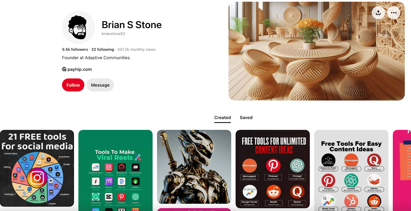screenshot of brain s stone's pinterest profile