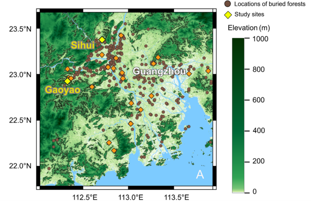 map of a coastal area showing elevation and the location of ancient forests