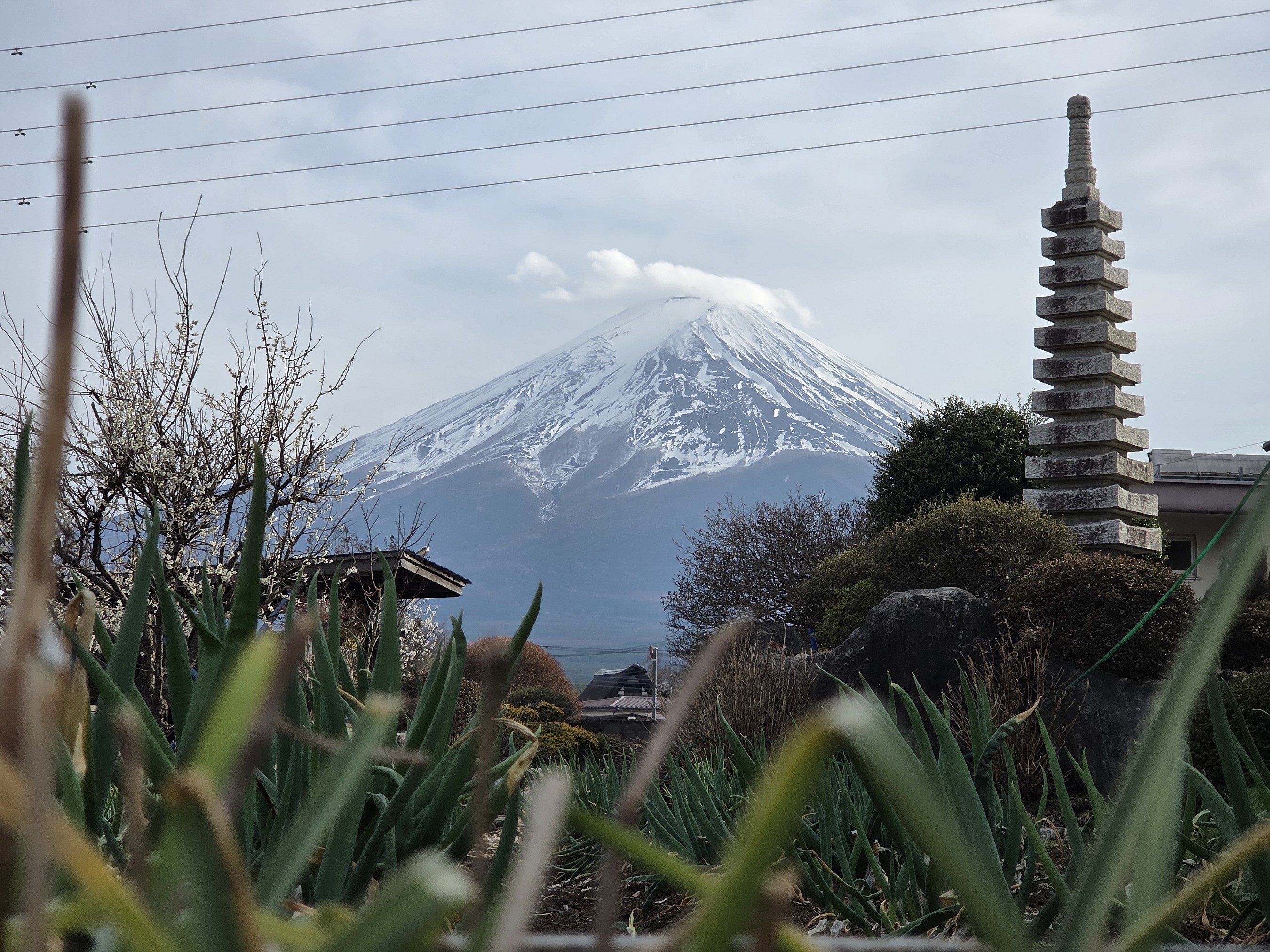 You really don’t need a convenience store to take a lovely pic of Mt. Fuji!