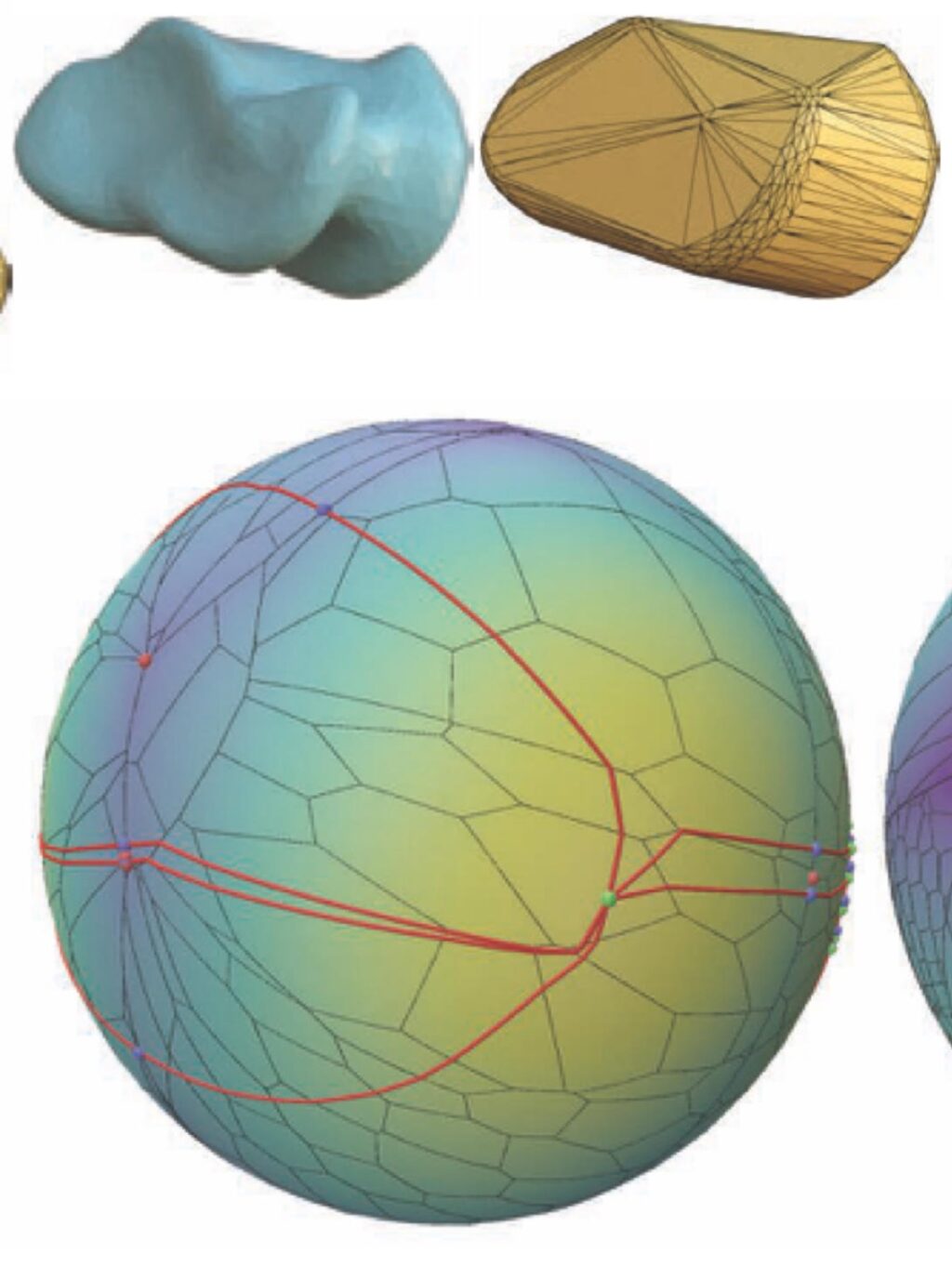 The algorithm analyzed a torus-shaped design similar to ancient knucklebones.