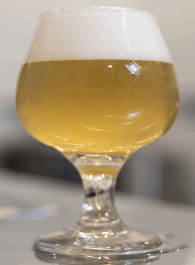 small glass of light colored beer with a nice foam head