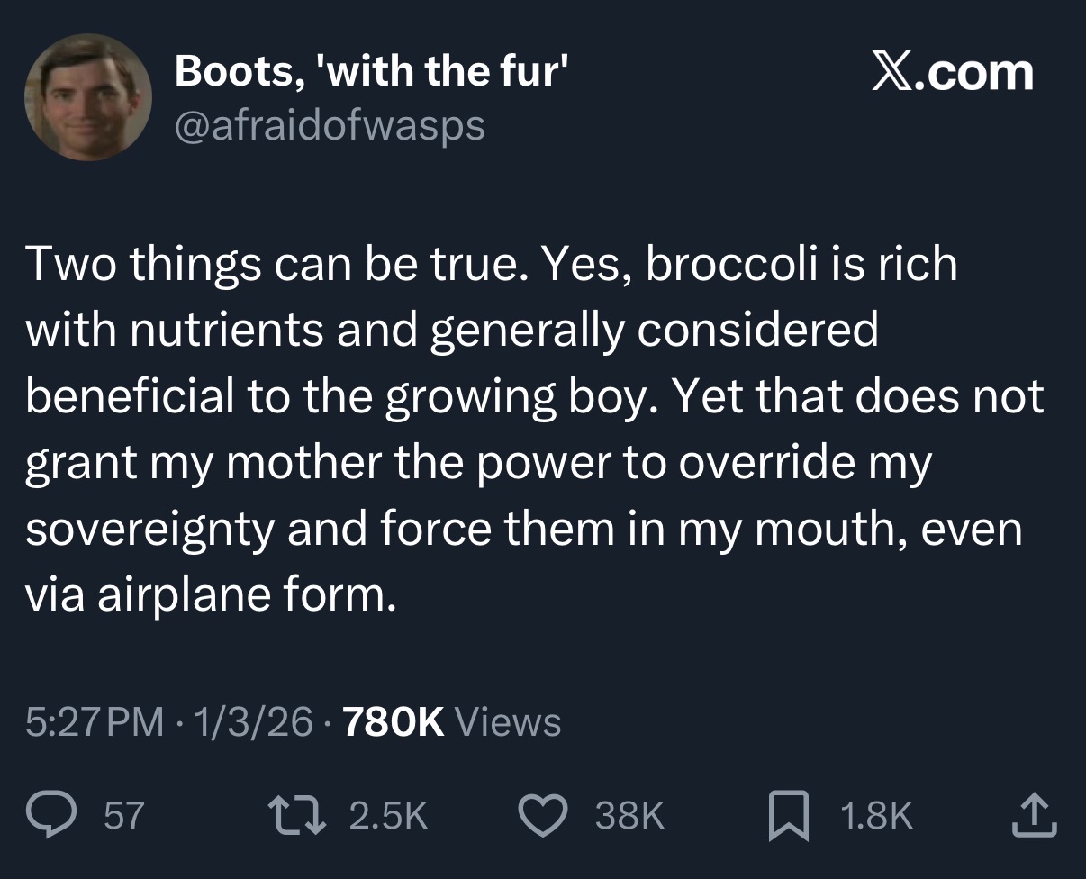 Image via @afraidofwasps/X.