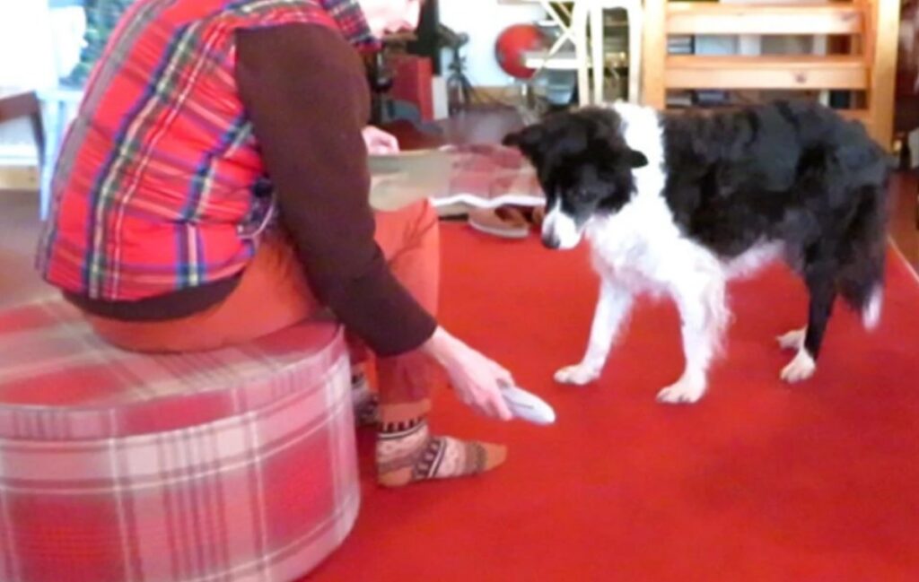 Roy is playing with his caretaker